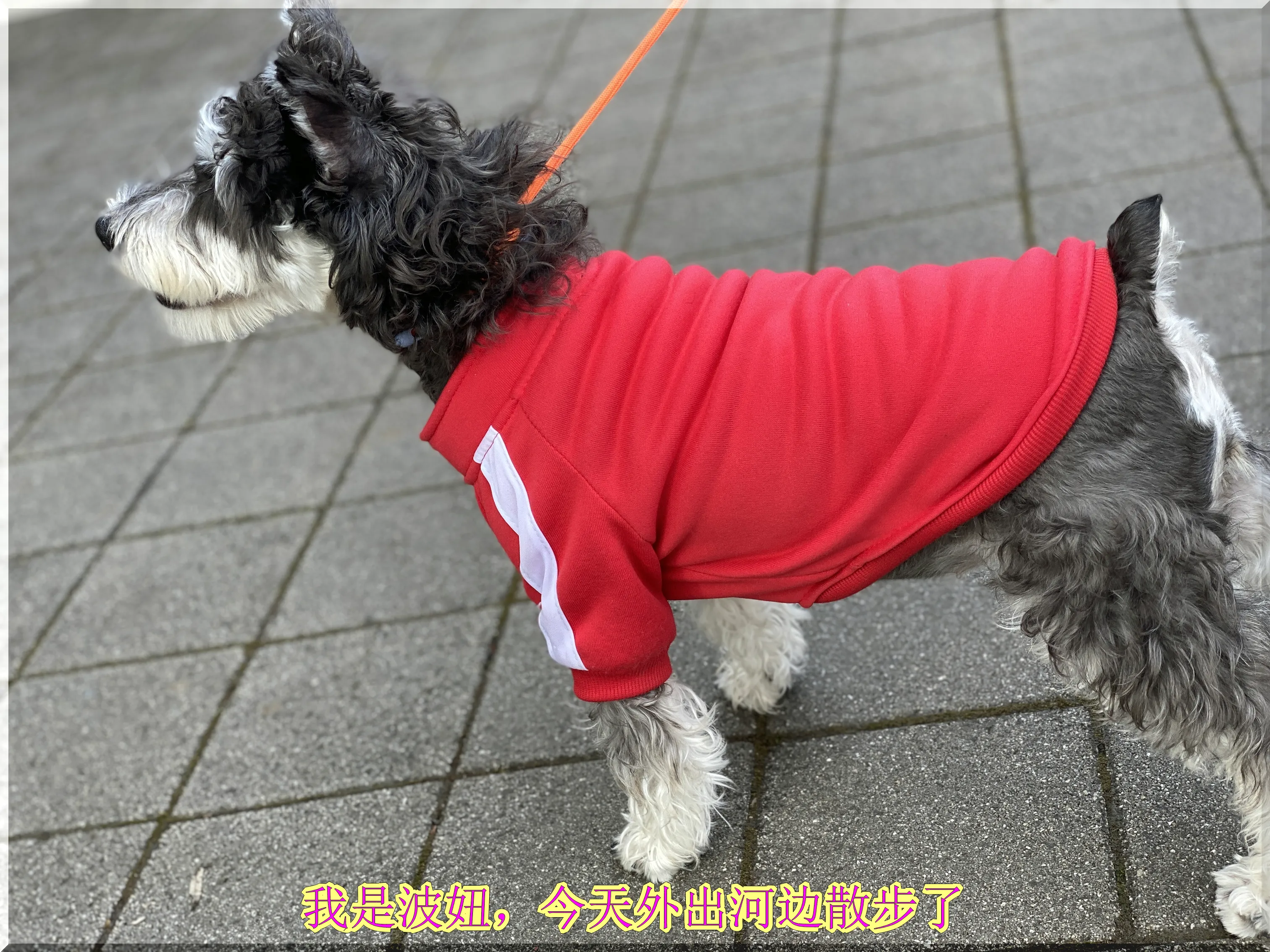 周日外出河边散步（2025.03.09）